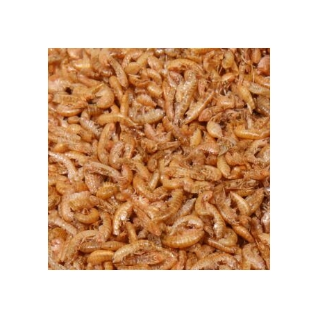Image 1 - JBL Proterra Gammarus - 25 g - 250 ml Aqua Store