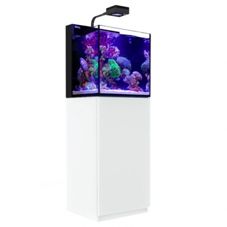 RED SEA Max Nano G2 Cube + Meuble Blanc - aquarium marin