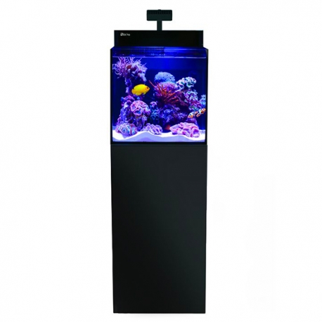 RED SEA Max Nano G2 Cube + Meuble Noir - aquarium marin