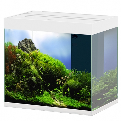 CIANO Emotions Pro 60 - Blanc - Aquarium tout équipé - 108 Litres Aqua Store