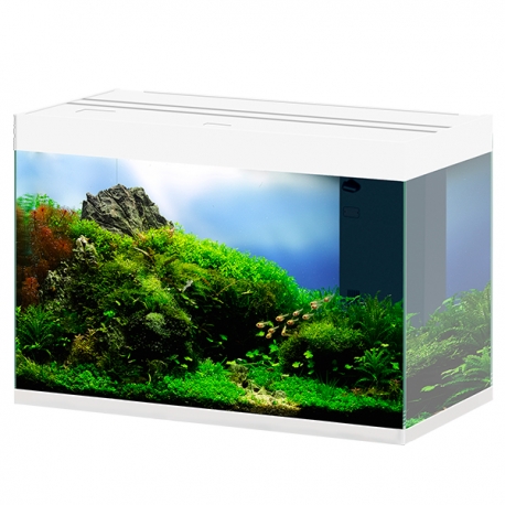 CIANO Emotions Pro 80 - Blanc - Aquarium tout équipé - 145 Litres Aqua Store