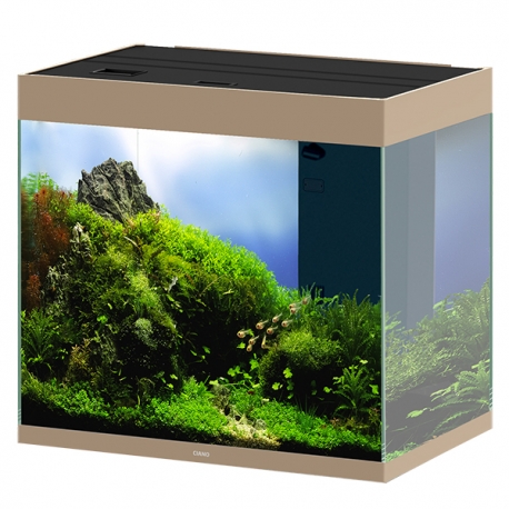 CIANO Emotions Pro 60 - mystic - Aquarium tout équipé - 108 Litres Aqua Store