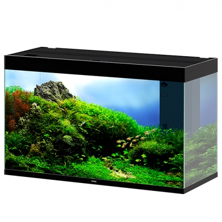 CIANO Emotions Pro 80 - Noir - Aquarium tout équipé - 145 Litres Aqua Store