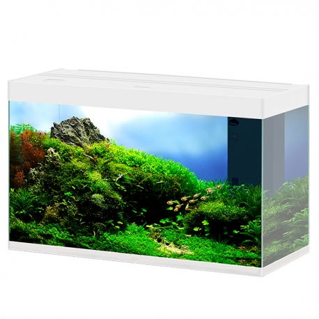 CIANO Emotions Pro 100 - Blanc - Aquarium tout équipé - 201 Litres Aqua Store