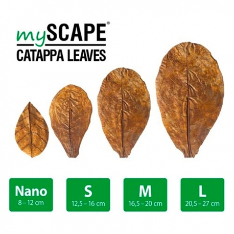 Image 1 - ARKA Feuilles de Badamier - Nano 8/10 cm - 10 pièces Aqua Store