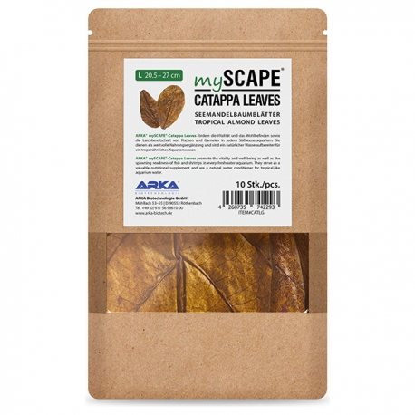 ARKA mySCAPE-Catappa - Feuilles de Badamier - Taille L 20,5/27 cm - 10 pièces Aqua Store