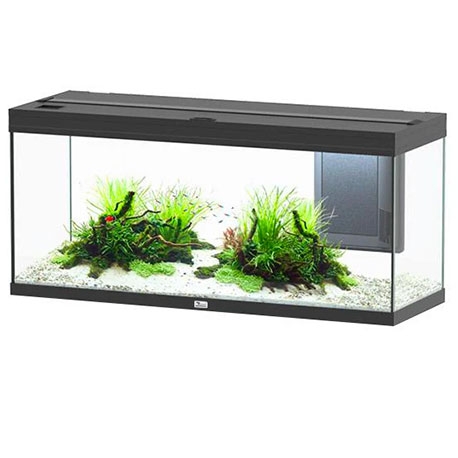 Aquarium AQUATLANTIS Volga 240 - Couleur Noir - Sans Meuble - 296 Litres Aqua Store