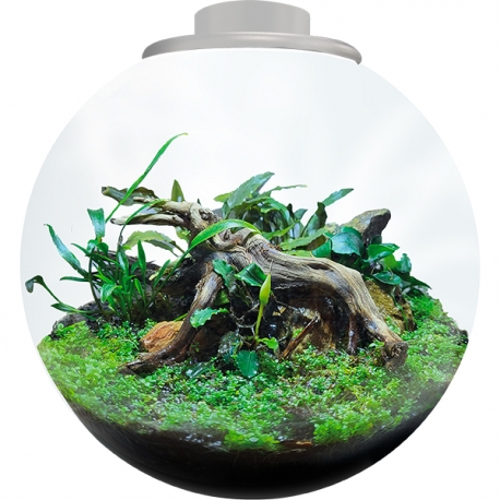 Image 2 - BIOART Bowl 225 LED Nano Garden - Blanc - Terrarium Livré Complet - 5,1 Litres Aqua Store