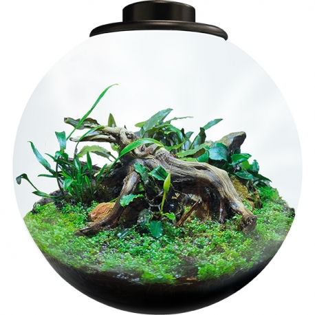 Image 2 - BIOART Bowl 225 LED Nano Garden - Noir - Terrarium Livré Complet - 5,1 Litres Aqua Store