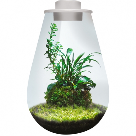 Image 2 - BIOART Drop 285 LED Nano Garden - Blanc - Terrarium Livré Complet - 5,1 Litres Aqua Store