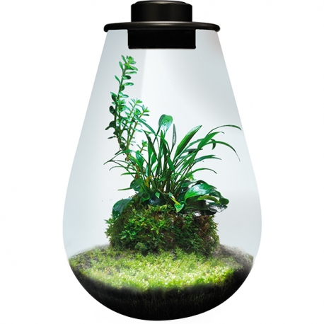 Image 2 - BIOART Drop 285 LED Nano Garden - Noir - Terrarium Livré Complet - 5,1 Litres Aqua Store