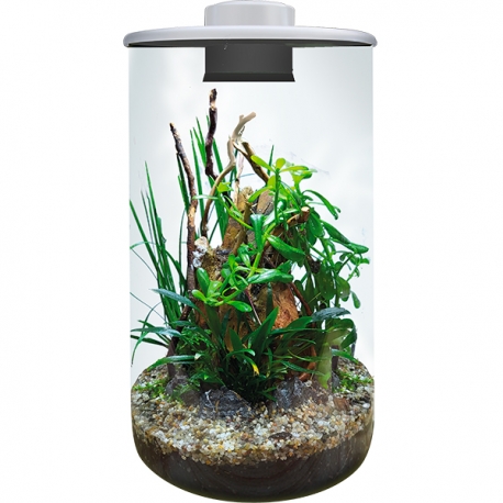 Image 2 - BIOART Cylinder 285 LED Nano Garden - Blanc - Terrarium Livré Complet - 4 Litres Aqua Store