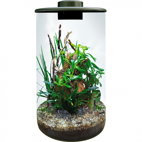 Image 2 - BIOART Cylinder 285 LED Nano Garden - Noir - Terrarium Livré Complet - 4 Litres Aqua Store