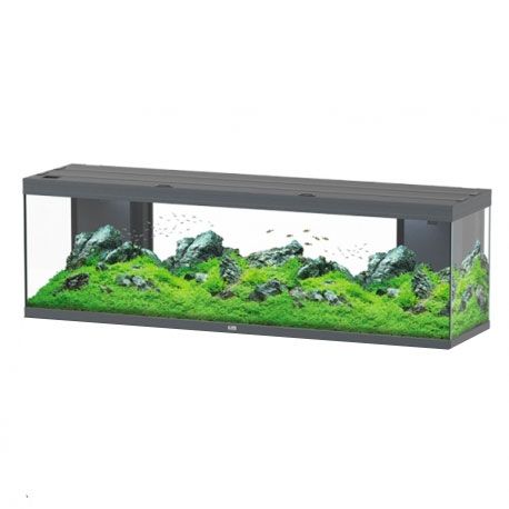 Aquarium AQUATLANTIS Splendid 200 - Couleur Gris - Sans Meuble - 296 Litres Aqua Store