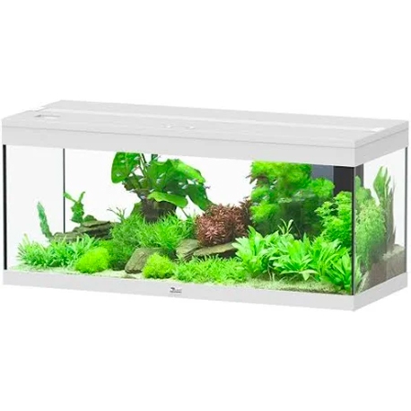 Aquatlantis Prestige 100 - Cuve nue - Couleur Blanc Aqua Store