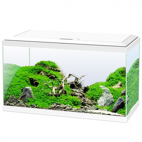 Aquarium CIANO Emotions Pro 60 - Blanc - Avec Chauffage et Filtre Inclus - 60 Litres Aqua Store