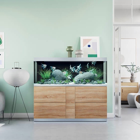 Image 2 - Aquarium OASE HighLine 600 Extra-Clair Chêne tout équipé - 580 Litres Aqua Store