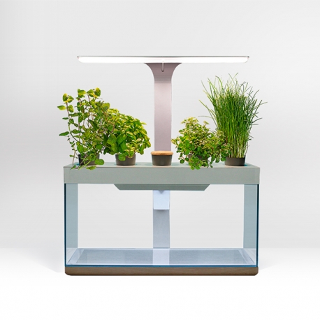NENUFARM Aquarium Potager – Aquarium innovant et Écologique - Livré Complet Aqua Store
