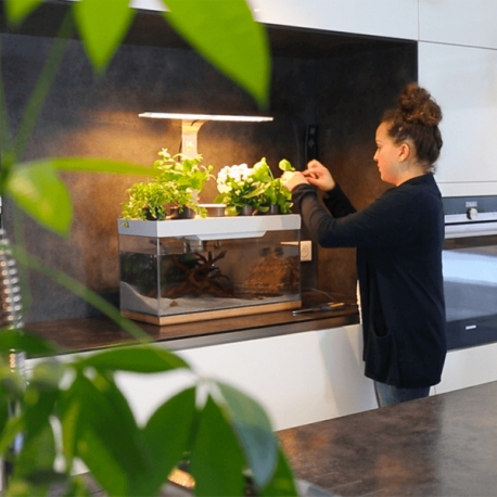 Image 1 - NENUFARM Aquarium Potager – Aquarium innovant et Écologique - Livré Complet Aqua Store