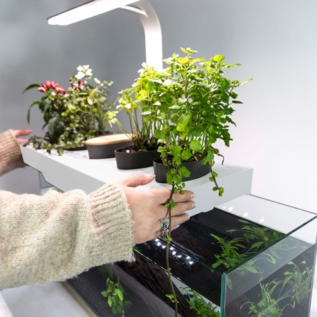 Image 2 - NENUFARM Aquarium Potager – Aquarium innovant et Écologique - Livré Complet Aqua Store