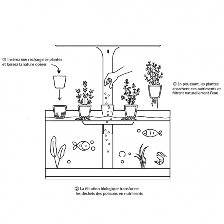 Image 5 - NENUFARM Aquarium Potager – Aquarium innovant et Écologique - Livré Complet Aqua Store