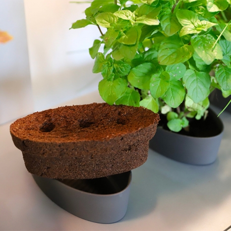 Image 2 - NENUFARM Recharge Basilic Grand Vert - Pour Aquarium Potager Aqua Store