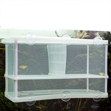 Image 3 - HOBBY Nido 3.1 XL - Pondoir Filet - 25x15x14,5 cm - Reproduction et Isolation avec Séparateur Aqua Store