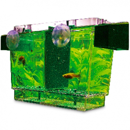 Image 2 - HOBBY Nido 2 - Pondoir Flottant - 21x16x14 cm - Reproduction et Isolation avec Séparateur Aqua Store