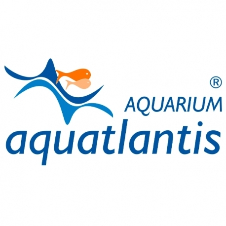 AQUATLANTIS Porte Centrale Gauche - Pour Meuble Splendid - Couleur Noir Aqua Store