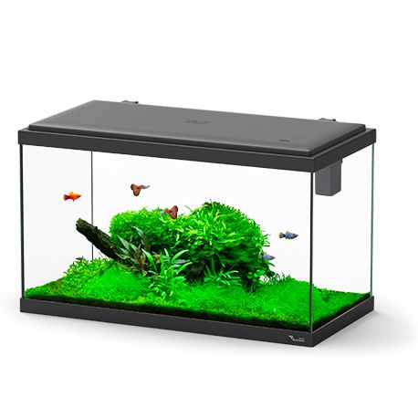 Aquarium AQUATLANTIS Explorer Paris 60 - Noir - tout équipé - 58 Litres Aqua Store