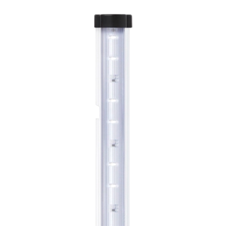 Image 3 - Aquarium AQUATLANTIS Explorer Paris 60 - blanc - tout équipé - 58 Litres Aqua Store