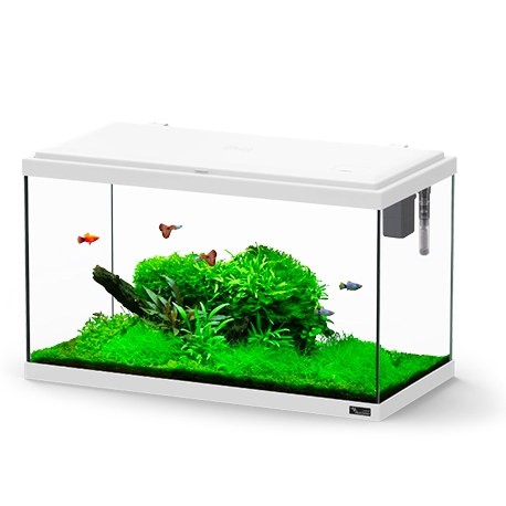 Aquarium AQUATLANTIS Explorer Paris 60 - blanc - tout équipé - 58 Litres Aqua Store
