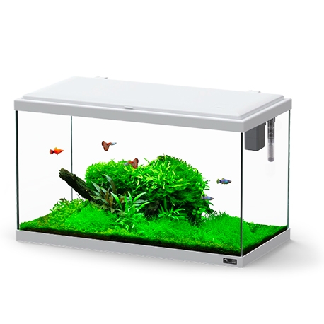 Aquarium AQUATLANTIS Explorer Paris 60 - Gris - tout équipé - 58 Litres Aqua Store