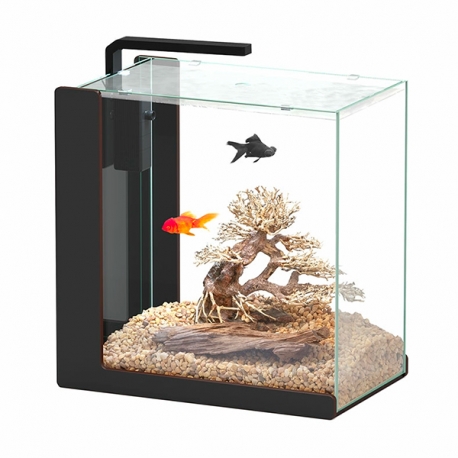 Aquarium AQUATLANTIS Aqua Lounge 54 Tout Équipé - Couleur : Noir - 54 Litres aquarium Aqua Store