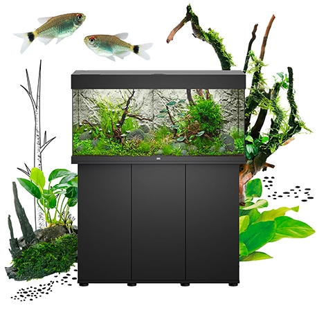 Aquarium JUWEL Rio 290 LED Noir - Tout Équipé - 290 Litres Aqua Store