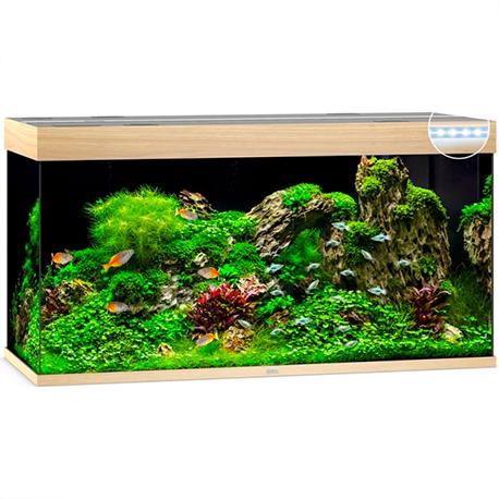 Aquarium Juwel Rio 350 Chêne Clair - Cuve Complète Sans Meuble - 350 Litres Aqua Store