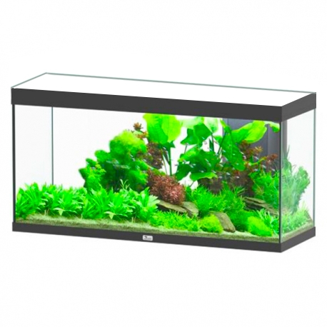 Aquarium AQUATLANTIS Splendid 120 - CUVE NUE - Couleur : Noir - 293 Litres Aqua Store
