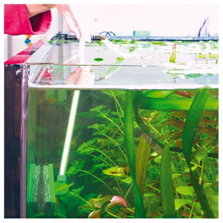 Image 1 - JBL Blanki Set Nettoyeur de vitres d'aquarium, avec manche Aqua Store