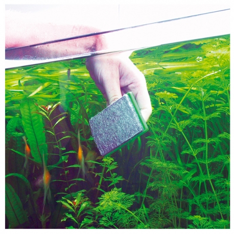 Image 1 - JBL Blanki Nettoyeur de vitres d'aquarium anti-rayures. Aqua Store