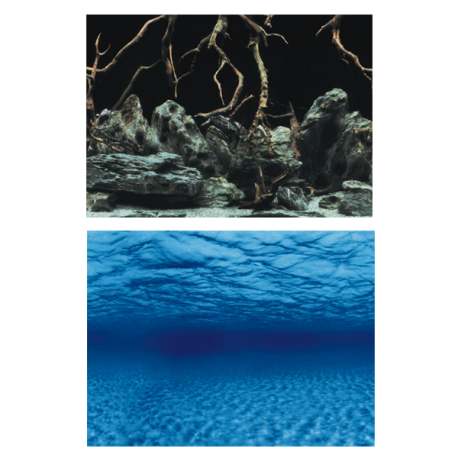 AQUA NOVA Poster Roots/Water XL, Racine / Fond Marins - 150x60 cm