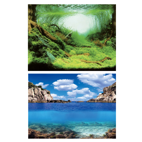 AQUA NOVA Poster Plant/Ocean XL, Aquascapping/Ocean - 150x60 cm Aqua Store