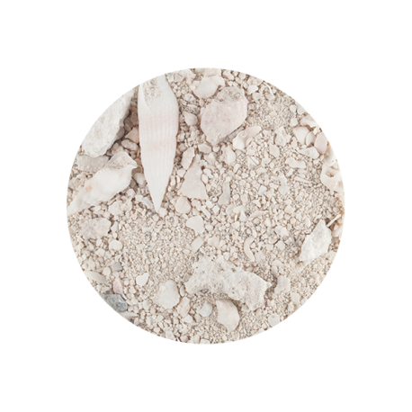 CARIBSEA Ocean Direct Original Grade - 2 kg Aqua Store