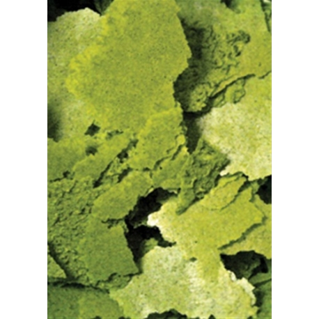 Image 1 - OCEAN NUTRITION Formula Two Flakes, 34g Aqua Store