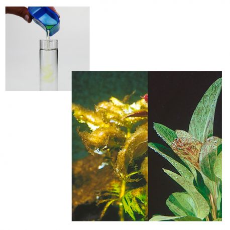 Image 1 - JBL Algol - Anti algue pour aquarium - 100 ml Aqua Store