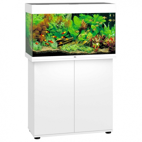 Aquarium Juwel Rio 125 LED + Meuble - Blanc Aqua Store