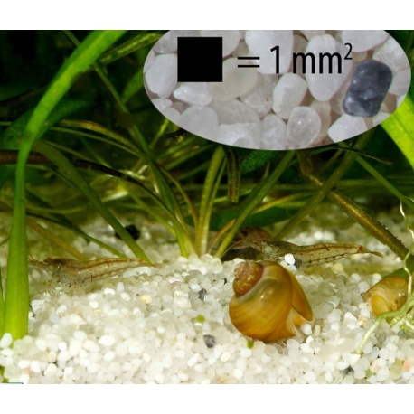 Image 1 - JBL Sansibar River - 5 kg - Substrat de sol aquarium terrarium Aqua Store