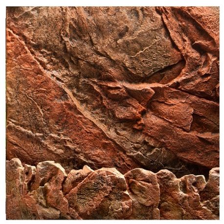 Image 1 - JUWEL Cliff Dark - Paroi arrière d'aquarium - 600 x 550 mm Aqua Store
