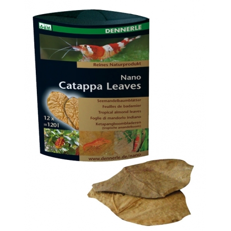 DENNERLE Nano Catappa leaves x12 feuilles