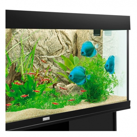 Image 1 - JUWEL Cliff Light - Paroi arrière d'aquarium - 600 x 550 mm Aqua Store