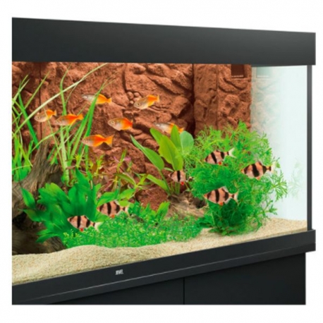 JUWEL Stone Clay - Paroi arrière d'aquarium - 600 x 550 mm